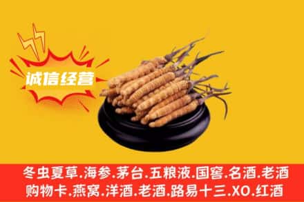 娄底回收冬虫夏草